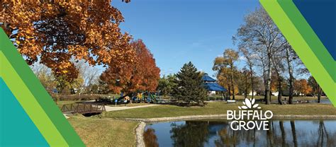 Buffalo grove black singles